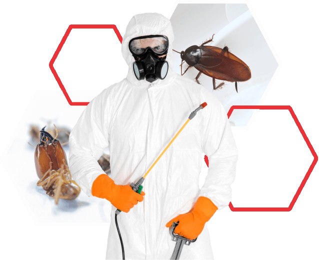 Pest Control Chicago